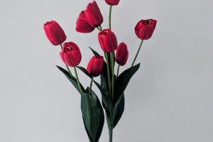 Affordable Caskets We Finance With Bad Credit Washington DC