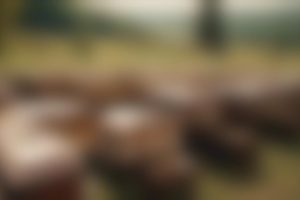 Casket Sale Deals Financing Made Simple Elk County Pennsylvania