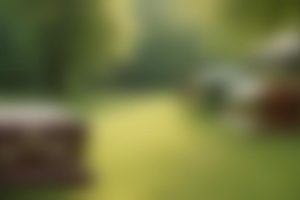 Sale Caskets Hassle-Free Financing Franklin County Pennsylvania