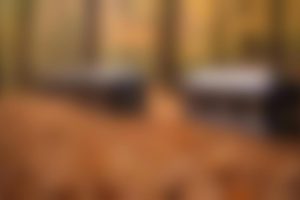 Caskets on Discount Finance Any Credit Forest County Pennsylvania