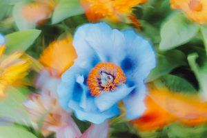 Sensibly Priced Caskets Easy Financing All Credit Histories Irvine CA