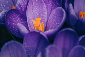 Economical Casket Solutions Bad Credit Financing Made Simple La Habra CA