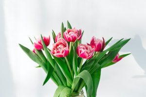 Affordable Caskets – We Finance With Bad Credit Boston, Massachusetts