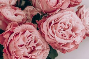 Practical Casket Options Flexible Financing Bad Credit OK Brea CA